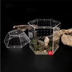 Mini Insecten Terrarium Acryl met Ventilatie voor Spin, Dieren en Toebehoren, Verzenden, Nieuw