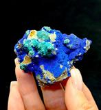 Mooie ROSASITE met AZURITE, SMITHSONITE en CERUSSITE uit