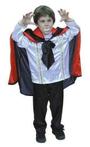 Vampiers kostuum | kind (Feestkleding Jongens)