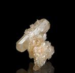 Reticulated Cerussite Kristallen op matrix - Hoogte: 40 mm -