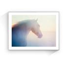 Jorge Omeñaca - Ghost horse