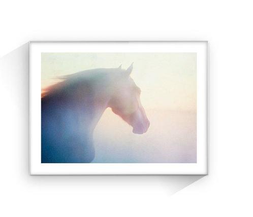 Jorge Omeñaca - Ghost horse, Antiek en Kunst, Kunst | Schilderijen | Modern