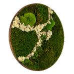 Vintlux Mosschilderij Rond 100 cm Donker Eiken - Svendborg, Nieuw