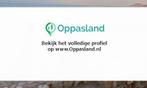 Edwin zoekt een oppas in Brummen voor 2 kinderen op vrijd...