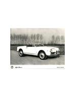 1962 ALFA ROMEO GIULIA SPIDER PERSFOTO, Boeken, Auto's | Folders en Tijdschriften, Nieuw, Alfa Romeo, Author