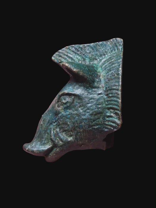 Oud-Romeins Brons Stunning & Rare Wild Pig Applique (Zonder, Antiek en Kunst, Antiek | Overige Antiek