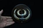 Wild Boar Tusk Trophies Bot - Sus scrofa - 17 cm - 0 cm - 0