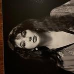 Govert de Roos - Kate Bush, Antiek en Kunst