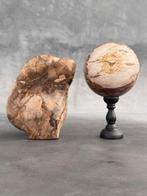 Gefossiliseerd hout - C - Wonderful Pair of Petrified Wood