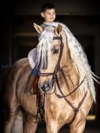 Paarden te koop! PRE/Andalusiers ! ruime keuze!, Meerdere dieren, Ontwormd, Niet van toepassing, 3 tot 6 jaar