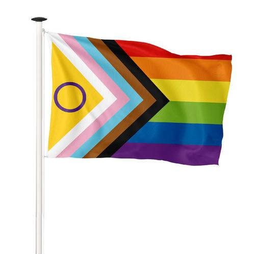 NR 562: Intersekse Progress Pride Vlag 200x300cm (voor, Diversen, Vlaggen en Wimpels, Nieuw
