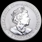 Australië. 1 Dollar 2022 Dusky Dolphin, 1 Oz (.999) (Zonder