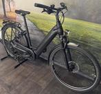 Electrische Pegasus Premio EVO 10 Lite | Bosch CX | E-Bike, Fietsen en Brommers, Overige merken, Ophalen of Verzenden, Zo goed als nieuw