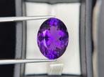 Zonder minimumprijs - 1 pcs Paars Amethist - 24.20 ct -, Nieuw