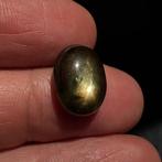 Zonder minimumprijs - 1 pcs Stersaffier - 9.40 ct - Geen