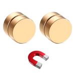 Fako Bijoux® - Oorbellen - Magneet - Magnetisch - RVS - 10mm, Sieraden, Tassen en Uiterlijk, Oorbellen, Verzenden, Nieuw