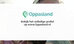 Saar zoekt een oppas in Nuland voor 2 kinderen.