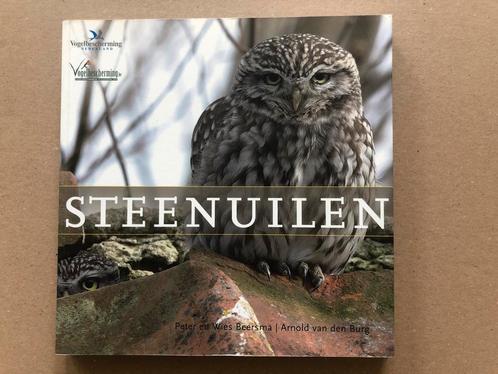 Steenuilen - Leefwijze - Habitat - Bescherming + Tips, Boeken, Dieren en Huisdieren, Zo goed als nieuw, Vogels, Ophalen of Verzenden