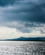 David Law - Bird on sea (Panoramique)