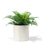 HEMA Bloempot 13.3x13.4cm keramiek ribbels crème, Huis en Inrichting, Kamerplanten, Verzenden