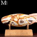 Indrukwekkende, knalgekleurde agatiseerde jaspis - Shiva, Nieuw