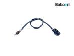 Lambda Sonde Harley-Davidson XG 750 A Street Rod 2017-2018, Motoren, Verzenden, Gebruikt