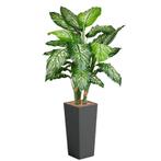 Dieffenbachia kunstplant, H175cm, Huis en Inrichting, Kamerplanten, Ophalen of Verzenden