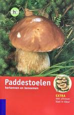 Paddestoelen, Ophalen of Verzenden, Nieuw