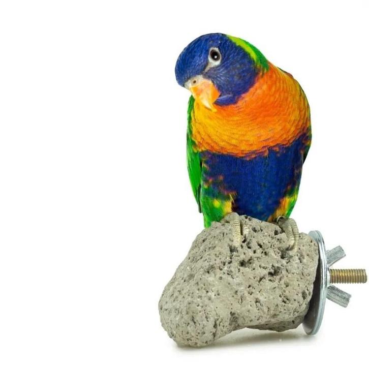 Nature Java Lava Stone - Zitstokken, Dieren en Toebehoren, Vogels | Toebehoren, Nieuw, Verzenden