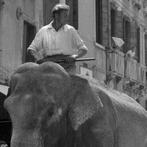 Camerapohoto Epoche/Vittorio Pavan - Circo Togni, campo S., Antiek en Kunst