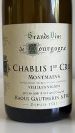 2020 Domaine Raoul Gautherin Montmains - Chablis 1er Cru -, Verzamelen, Wijnen, Nieuw