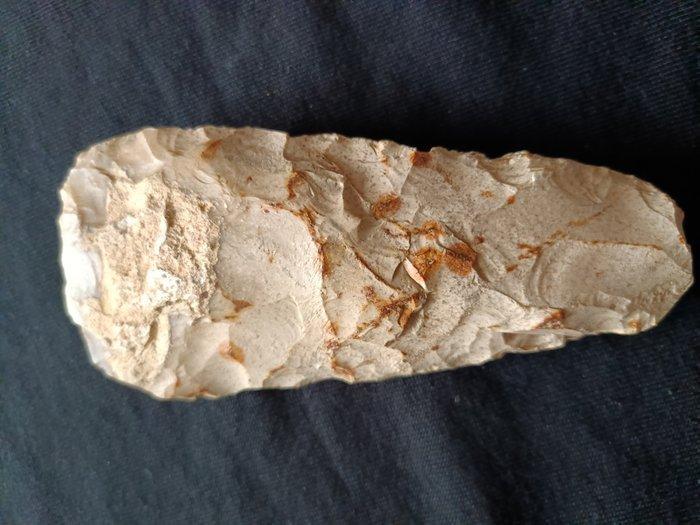 Neolithisch Steen Bijl (Zonder Minimumprijs), Verzamelen, Mineralen en Fossielen