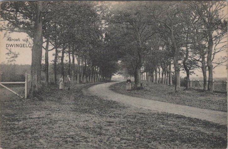 DWINGELO - Groet uit Dwingelo. Landweg, Verzamelen, Ansichtkaarten | Nederland, Verzenden