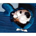 Handgemaakte luxe honden of kattenmand 45 x 45 cm inclusief, Ophalen of Verzenden, Nieuw
