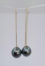 Oorbellen - 18 karaat Geel goud - 10x11mm Tahiti Parel, Sieraden, Tassen en Uiterlijk, Oorbellen, Nieuw