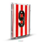 PSV - Ronaldo - Voetbalshirt, Verzamelen, Nieuw