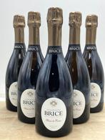 Brice, Blanc de Noirs Grand Cru Bouzy - Champagne Grand Cru, Nieuw