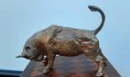 Beeldje - Stier - 40 cm - Brons