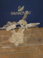 Swarovski - Beeldje - Hummingbird 166184 - Box + Certificate