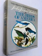 John James Audubon - The original water-color paintings by, Antiek en Kunst