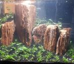 The Myanmar Petrified 10-20cm - aquarium decoratie stenen, Dieren en Toebehoren, Vissen | Aquaria en Toebehoren, Verzenden, Nieuw