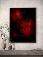 Rosalí - Echo of a Rose | Botanical Fine Art