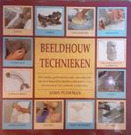BEELDHOUWTECHNIEKEN 9789072267399 J. Plowman, Verzenden, Zo goed als nieuw, J. Plowman