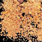 GRATIS VERZENDING NAAR EUROPA -> goud in nuggets uit de