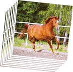 Paarden party set Beautiful Horses 46-delig, Dieren en Toebehoren, Verzenden, Nieuw, Overige soorten