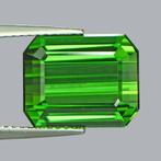 1 pcs Groen Toermalijn - 7.19 ct - nternational Colored, Sieraden, Tassen en Uiterlijk, Edelstenen, Nieuw