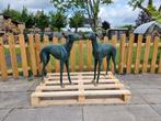 Beeld, Set of Greyhound Dogs - 72.5 cm - Metaal
