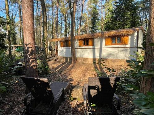 Vakantie in onze BOS Pipowagens nabij Maastricht in Lanaken, Vakantie, Vakantiehuizen | België, Landelijk, Limburg of Luik, In bos