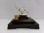 De boom van de pruim van sterling zilver. #40g/ 1.41. BONSAI