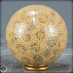 Extreem zeldzaam natuurlijk fossiel koraal Bol, Australië-